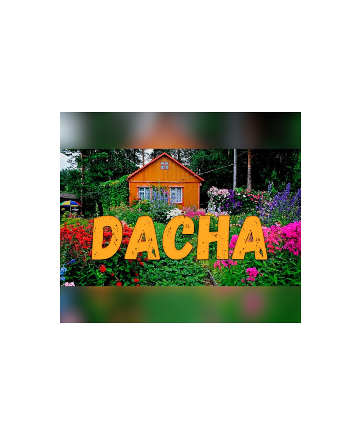 DACHA Steam Key GLOBAL